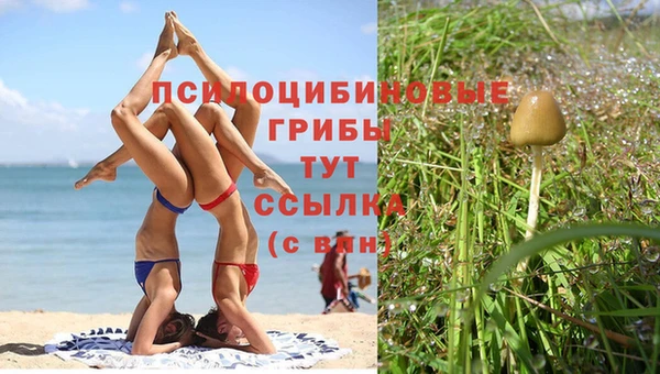 mdma Заволжск